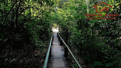 DJI_20230616_154956_954