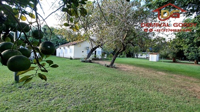 DJI_20230616_160354_977