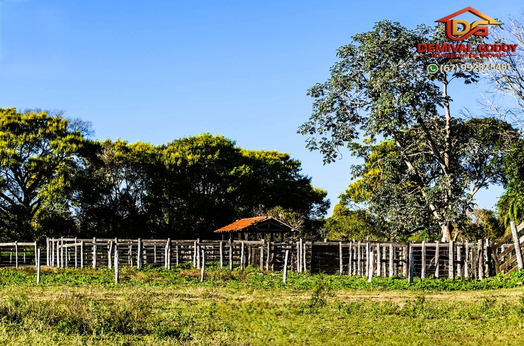 Captura-de-tela-2025-05-16-130003