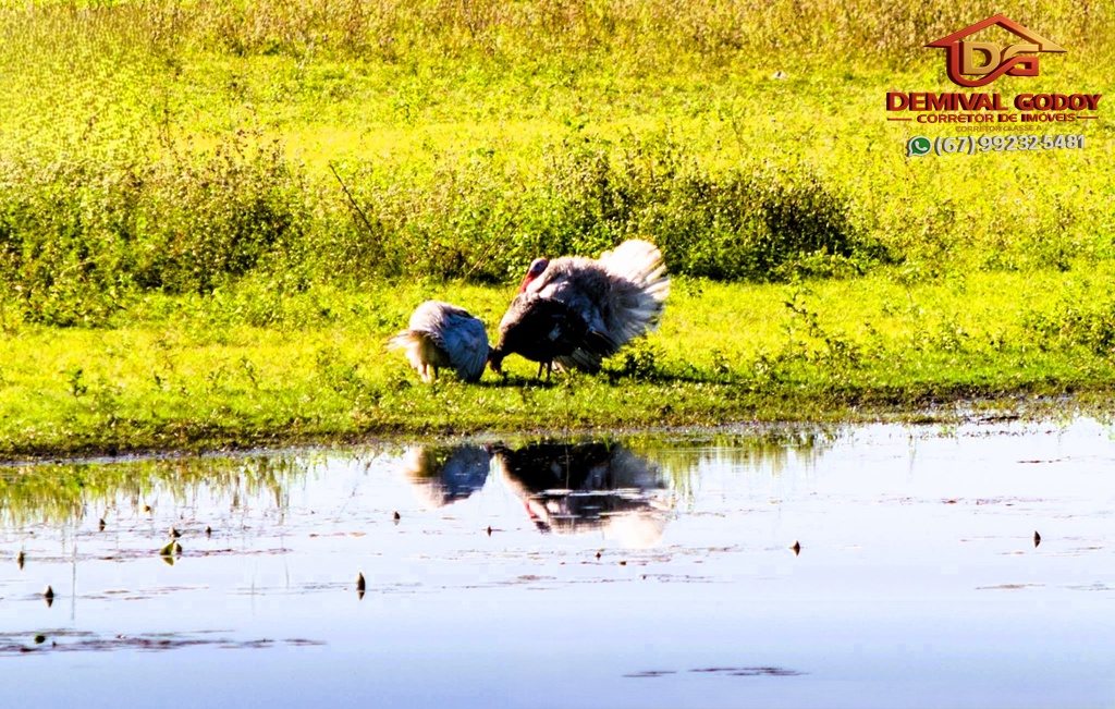 Captura-de-tela-2025-05-16-130145