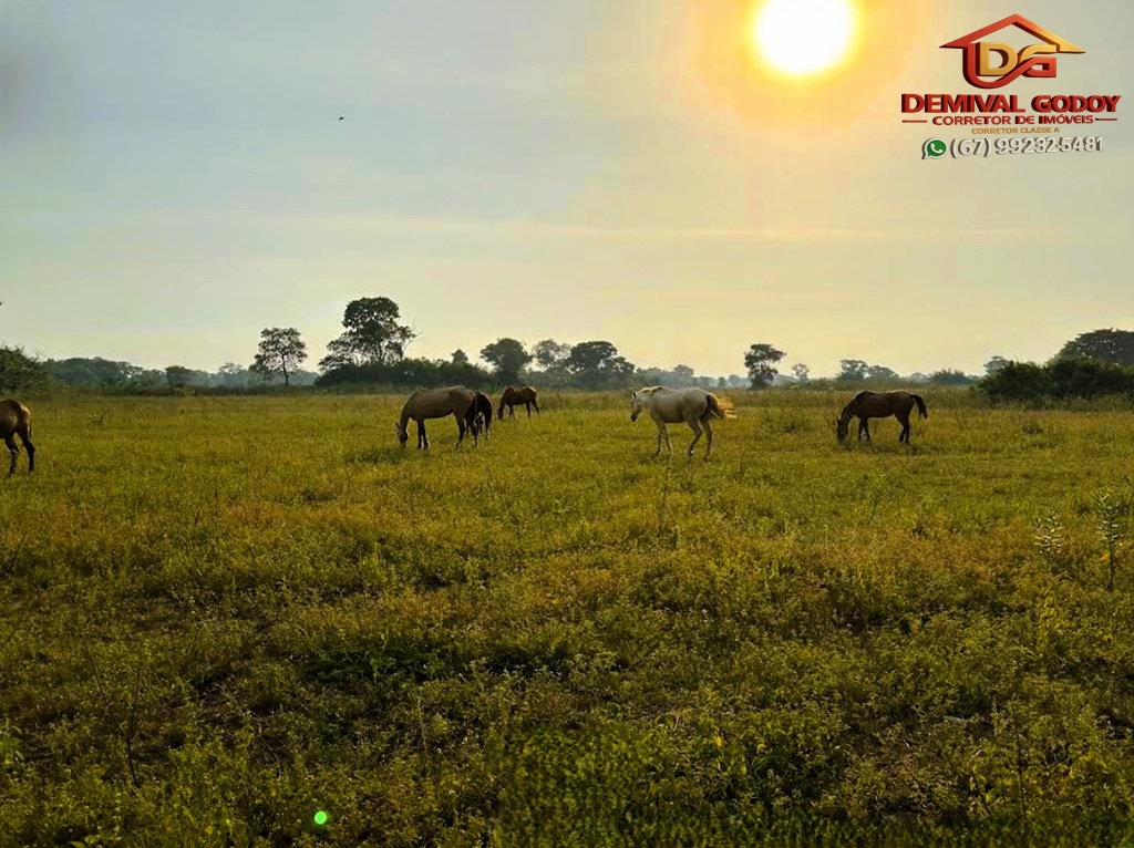 Captura-de-tela-2025-05-16-130212