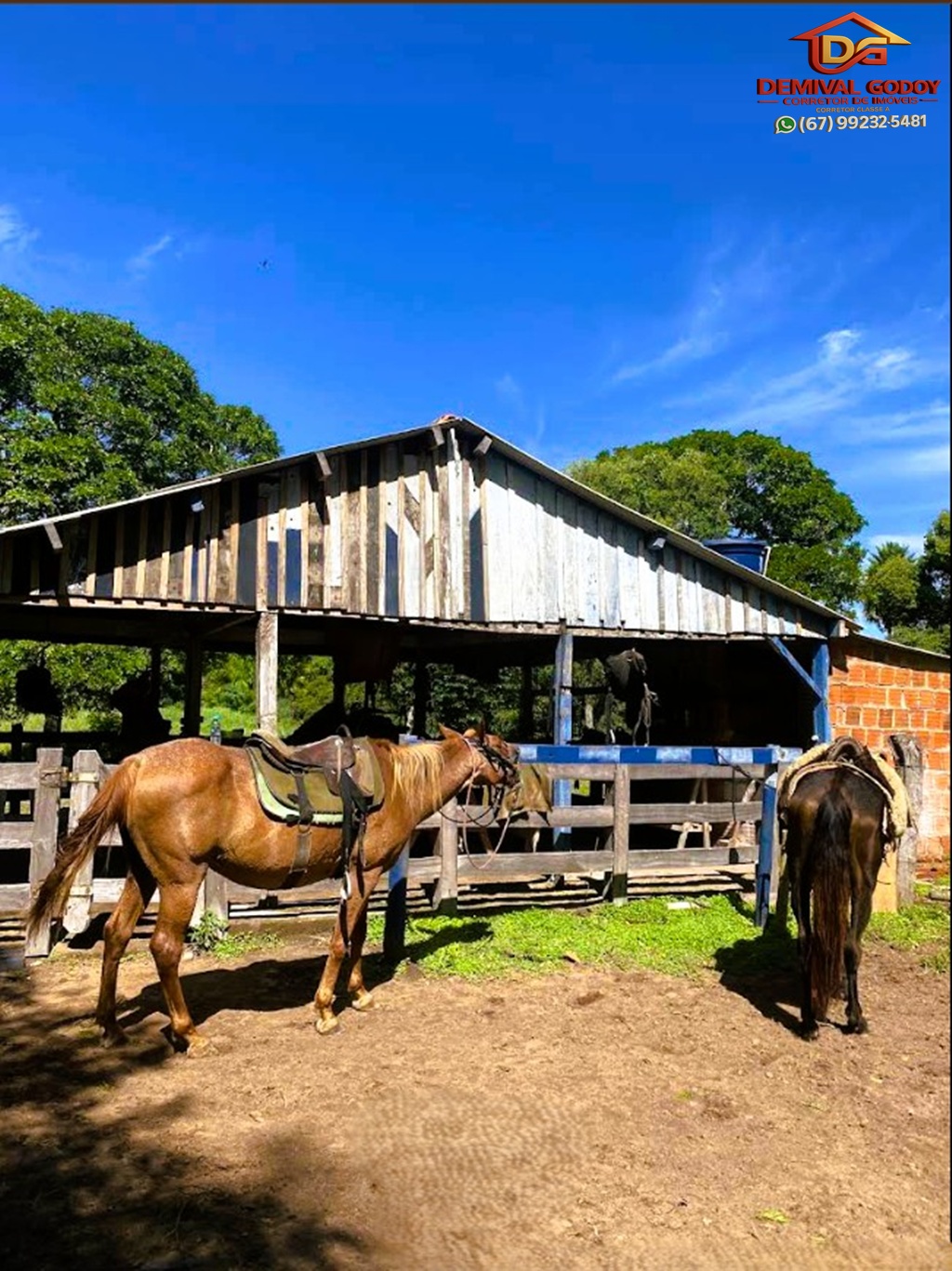 Captura-de-tela-2025-05-16-130232