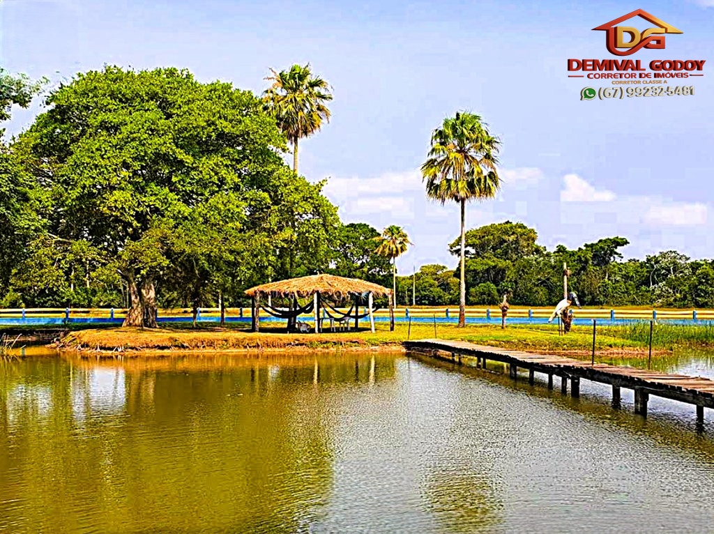 Captura-de-tela-2025-05-16-130300-1