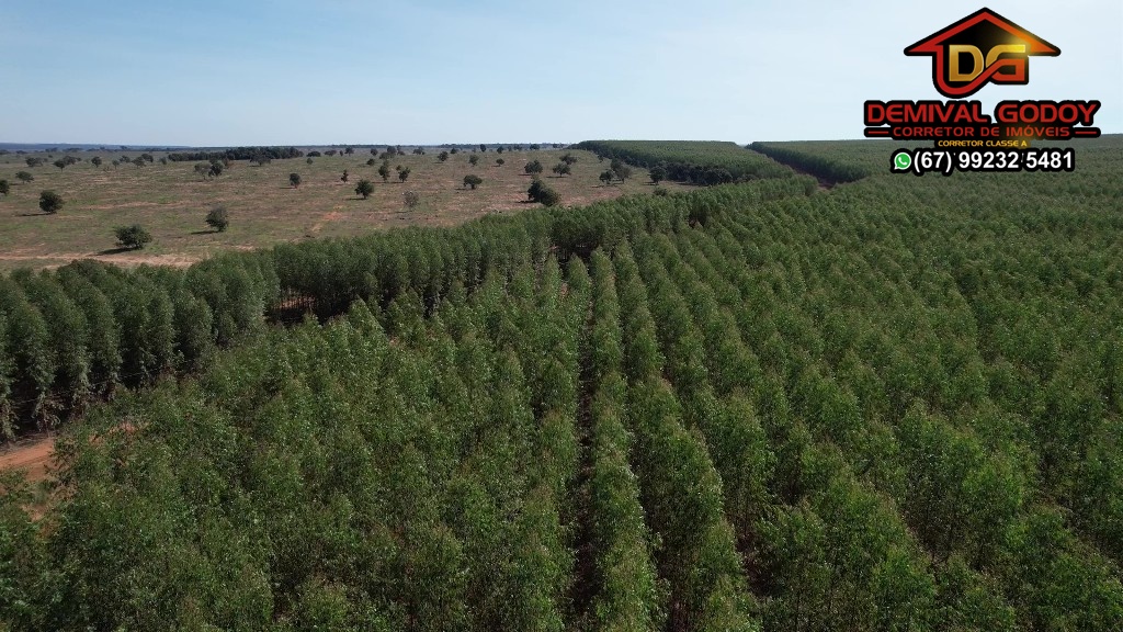 DJI_0472-frame-at-0m18s