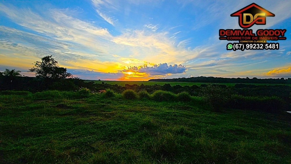 DJI_20250503_165638_1101