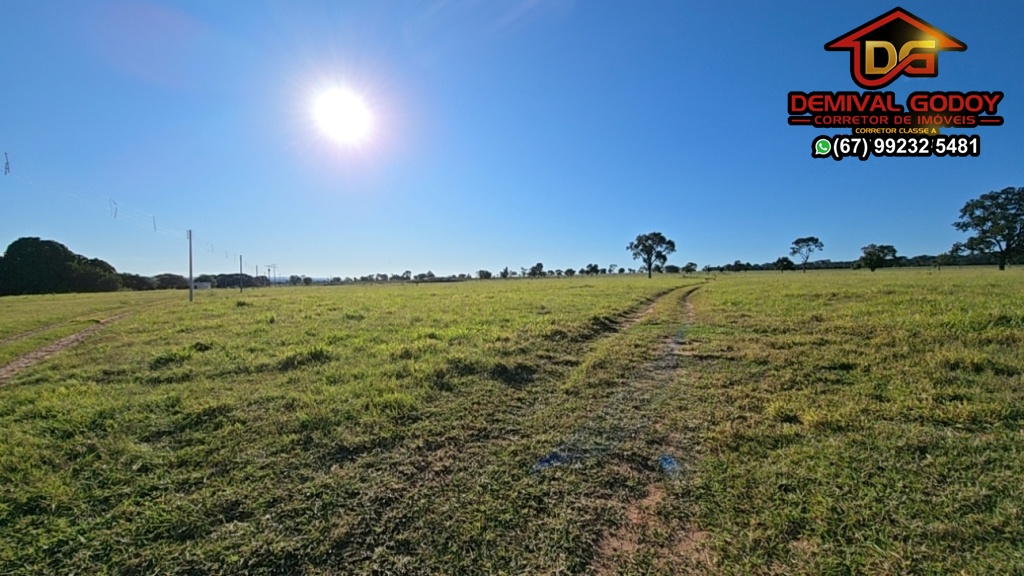 DJI_20250601_152448_1289