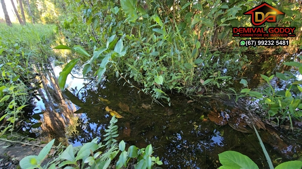 DJI_20250601_152907_1301