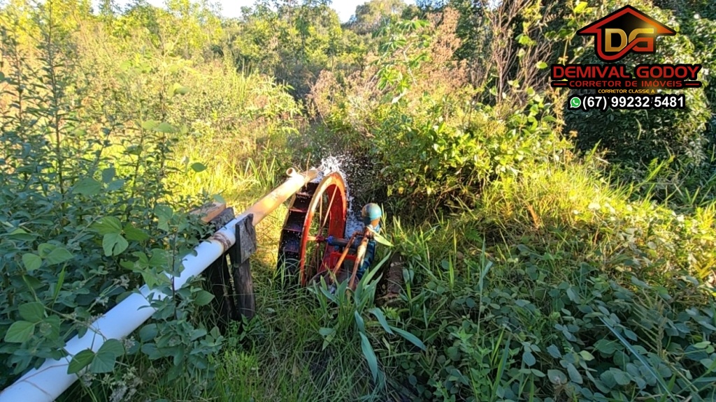 DJI_20250601_152948_1302